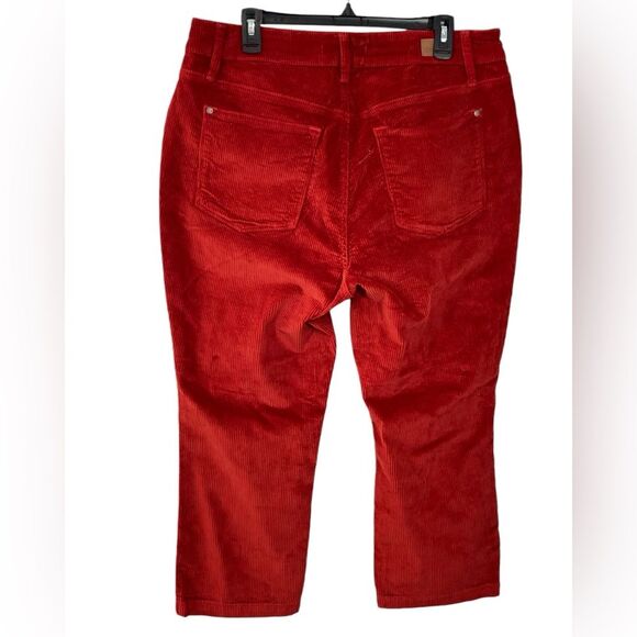 Judy Blue Button Fly Burnt Orange-ish Red Corduroy Ankle Straight Leg Pants 16W - Picture 2 of 6